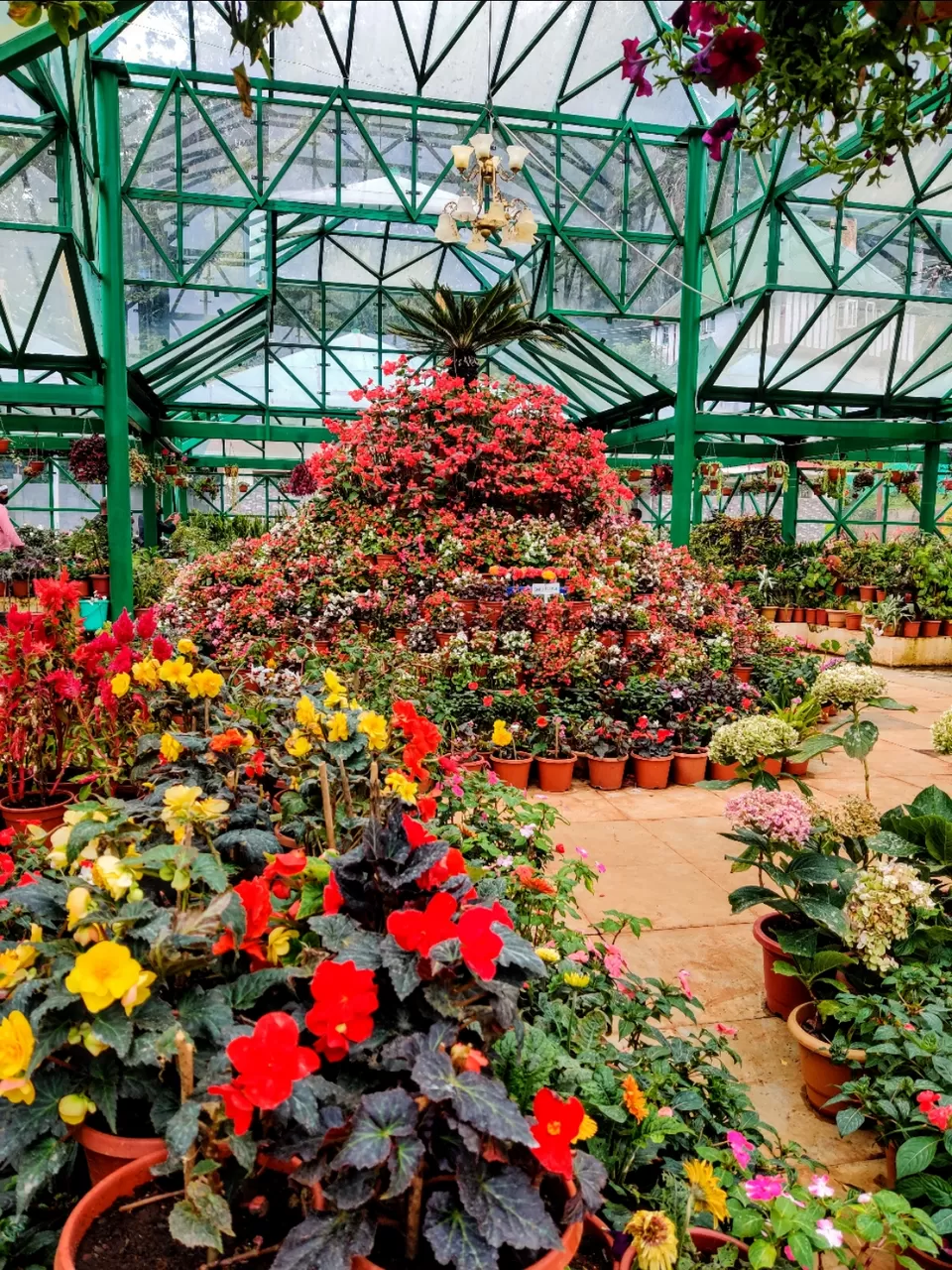 Photo of Government Botanical Garden, Vannarapettai, Ooty, Tamil Nadu, India by Aishwariya Roy
