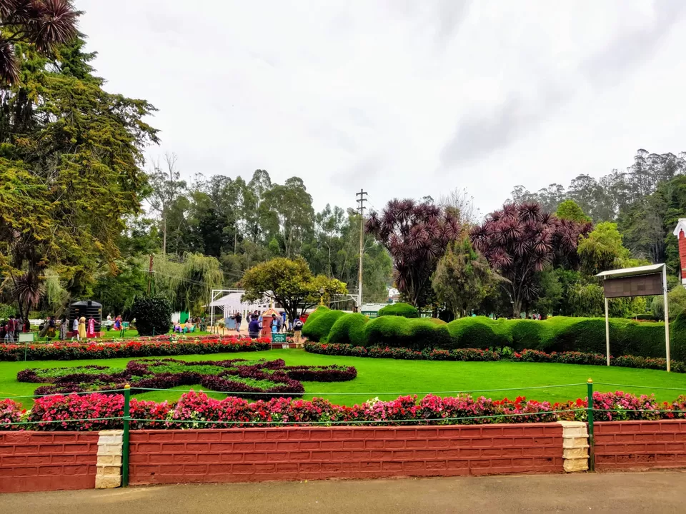 Photo of Government Botanical Garden, Vannarapettai, Ooty, Tamil Nadu, India by Aishwariya Roy