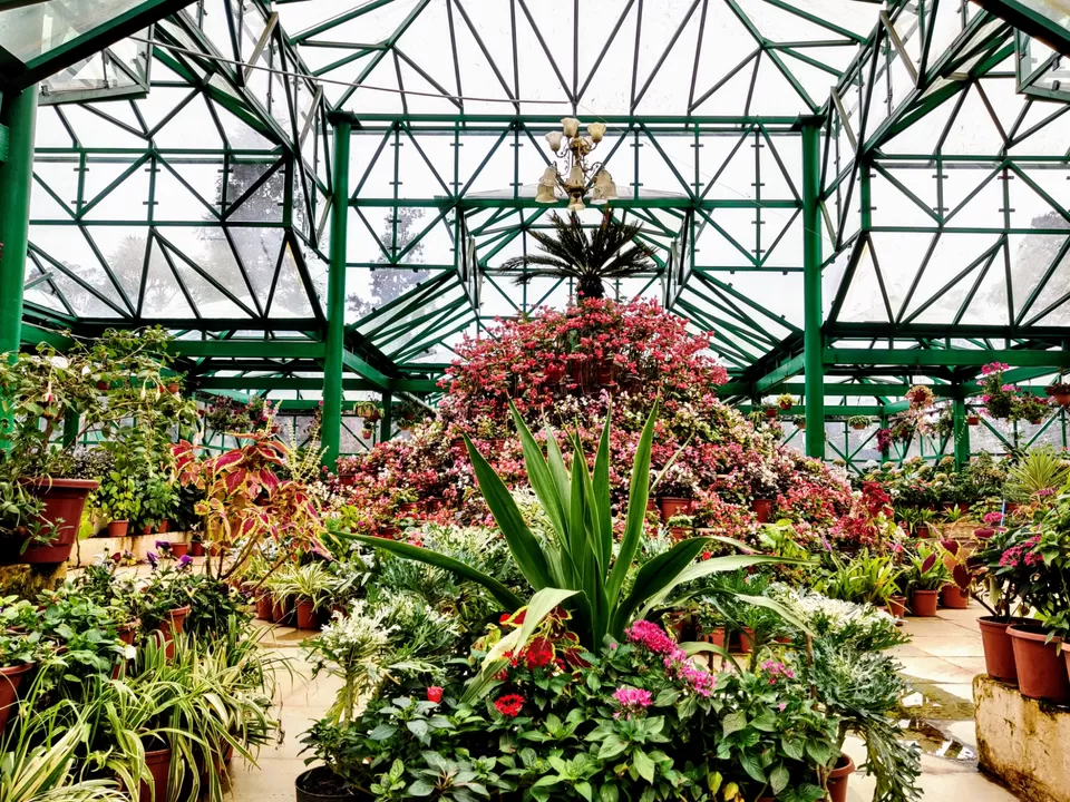 Photo of Government Botanical Garden, Vannarapettai, Ooty, Tamil Nadu, India by Aishwariya Roy