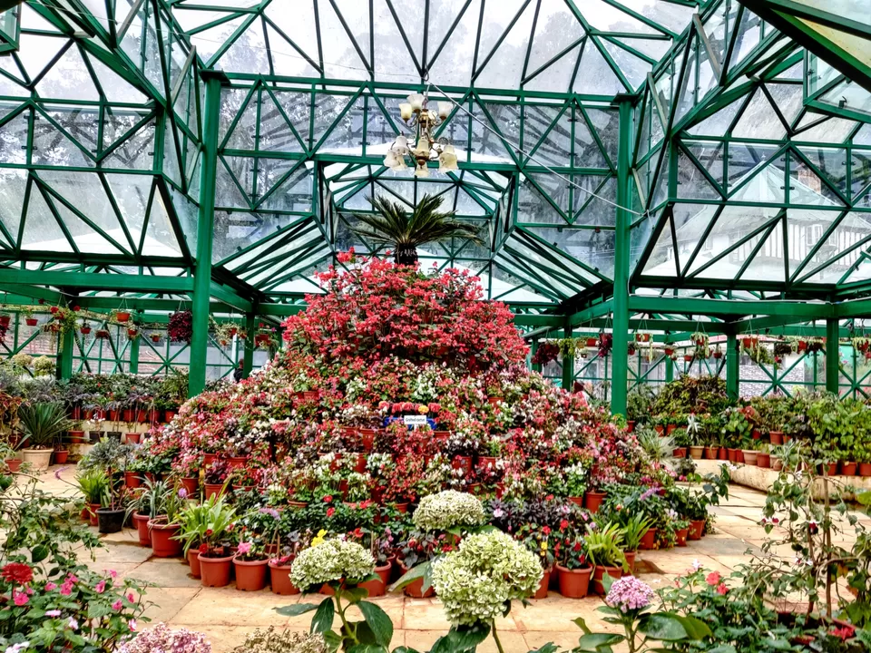 Photo of Government Botanical Garden, Vannarapettai, Ooty, Tamil Nadu, India by Aishwariya Roy