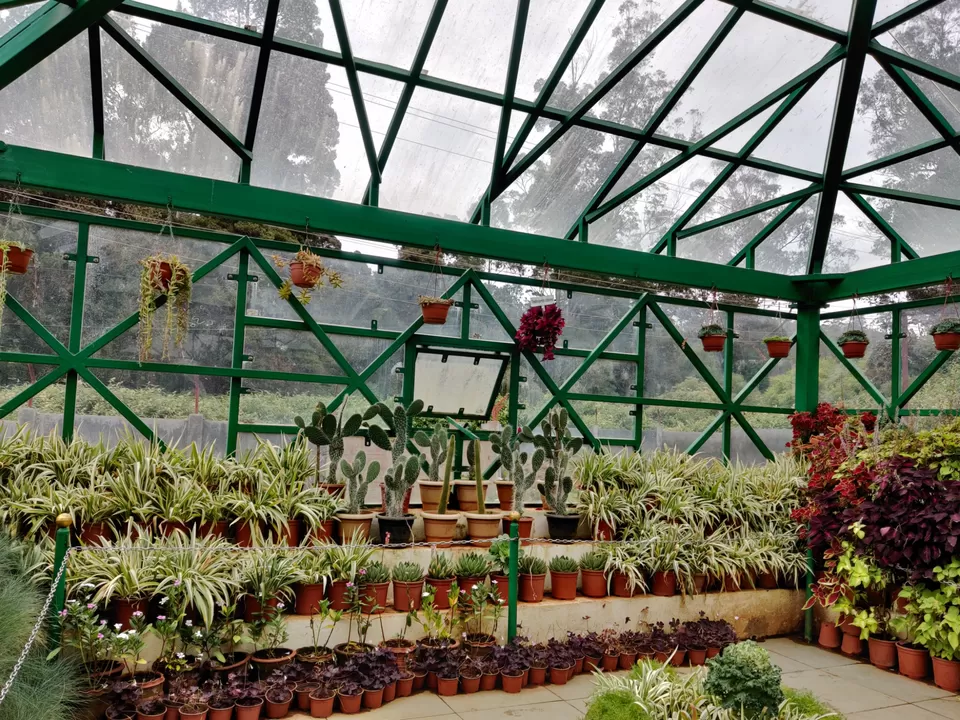 Photo of Government Botanical Garden, Vannarapettai, Ooty, Tamil Nadu, India by Aishwariya Roy