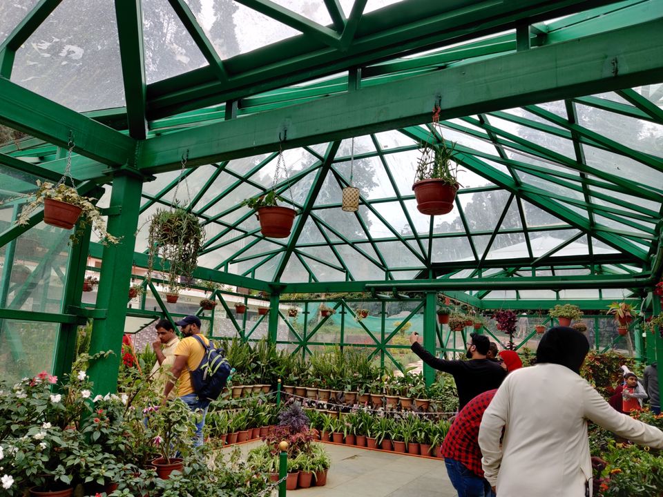Photo of Government Botanical Garden, Vannarapettai, Ooty, Tamil Nadu, India by Aishwariya Roy
