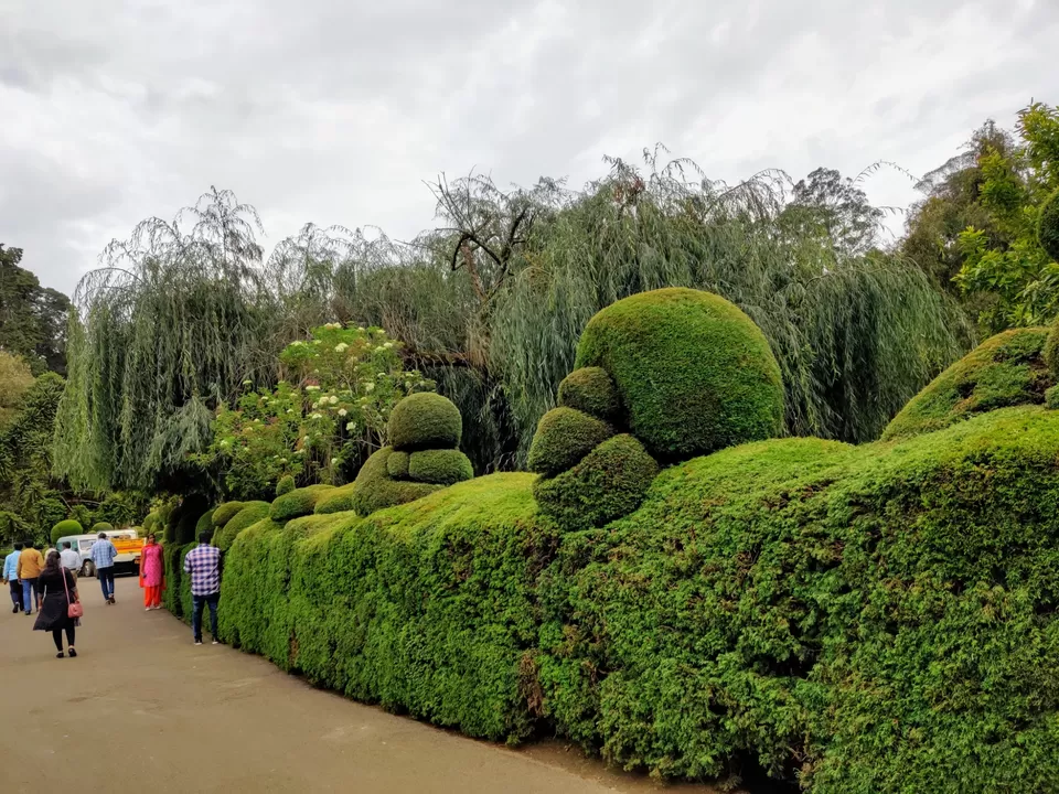 Photo of Government Botanical Garden, Vannarapettai, Ooty, Tamil Nadu, India by Aishwariya Roy