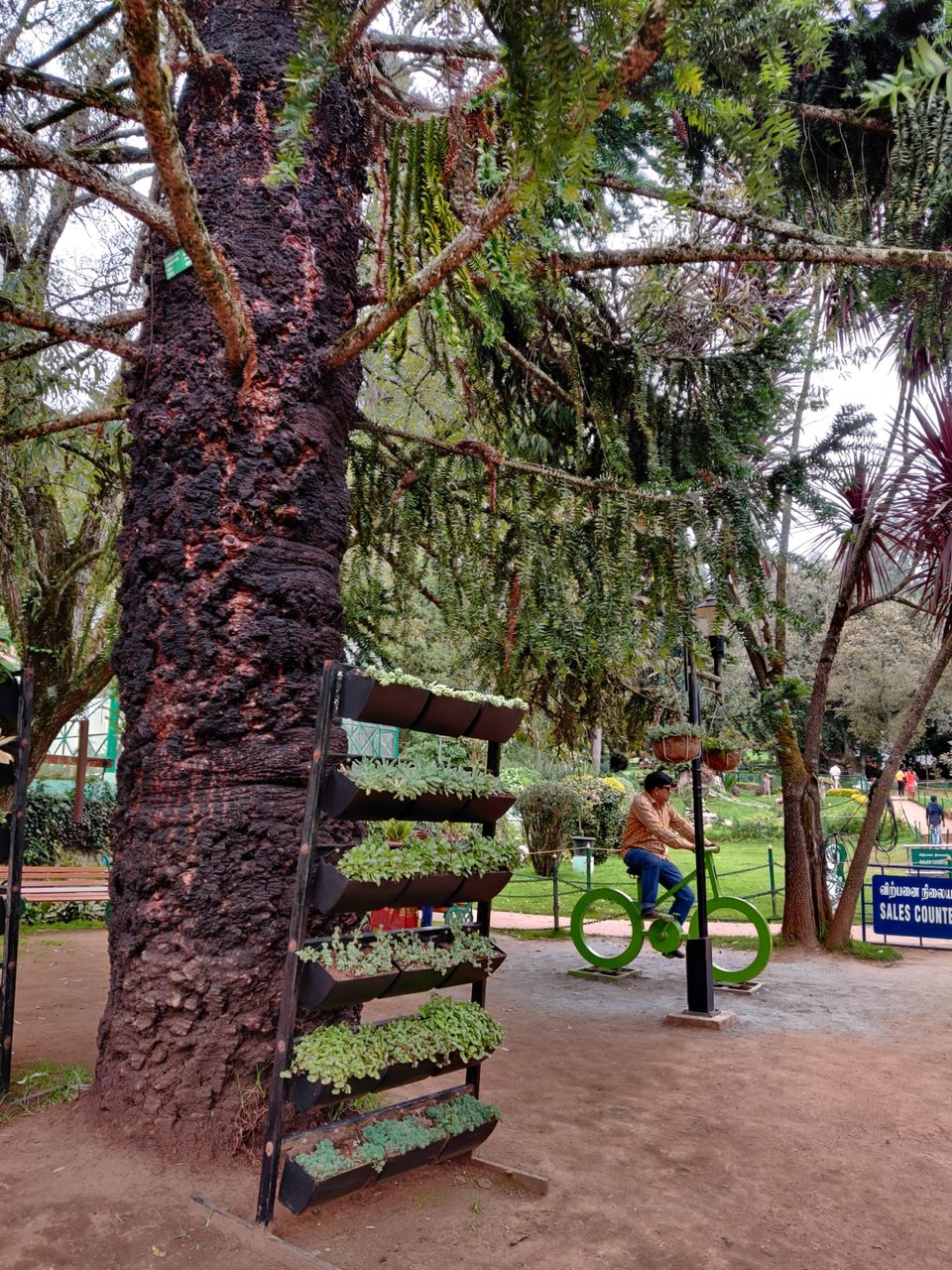 Photo of Government Botanical Garden, Vannarapettai, Ooty, Tamil Nadu, India by Aishwariya Roy