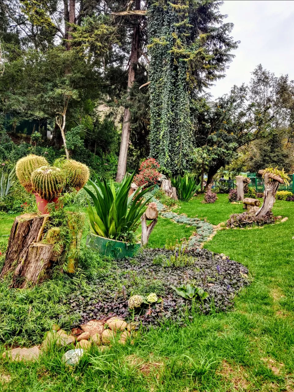 Photo of Government Botanical Garden, Vannarapettai, Ooty, Tamil Nadu, India by Aishwariya Roy