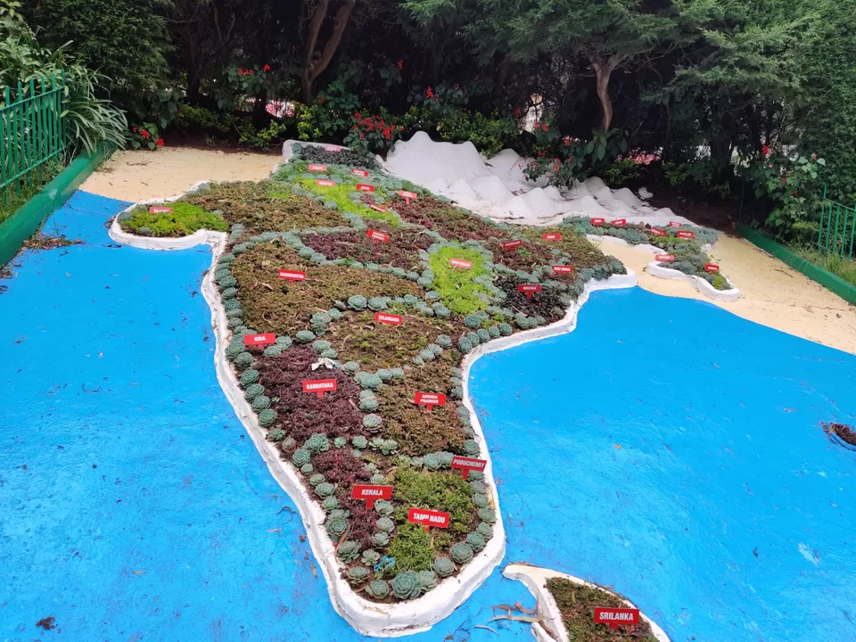 Photo of Government Botanical Garden, Vannarapettai, Ooty, Tamil Nadu, India by Aishwariya Roy