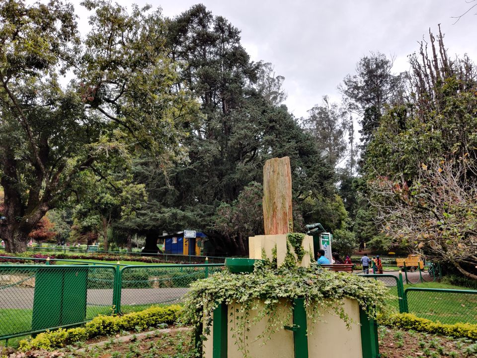 Photo of Government Botanical Garden, Vannarapettai, Ooty, Tamil Nadu, India by Aishwariya Roy
