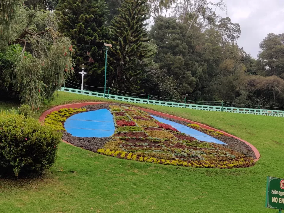 Photo of Government Botanical Garden, Vannarapettai, Ooty, Tamil Nadu, India by Aishwariya Roy
