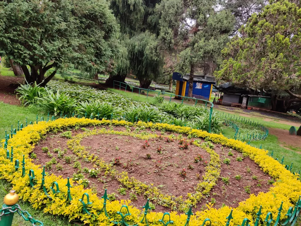 Photo of Government Botanical Garden, Vannarapettai, Ooty, Tamil Nadu, India by Aishwariya Roy