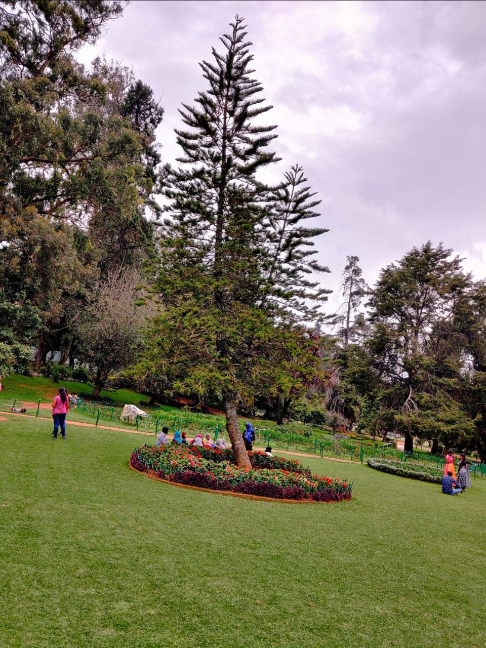 Photo of Government Botanical Garden, Vannarapettai, Ooty, Tamil Nadu, India by Aishwariya Roy