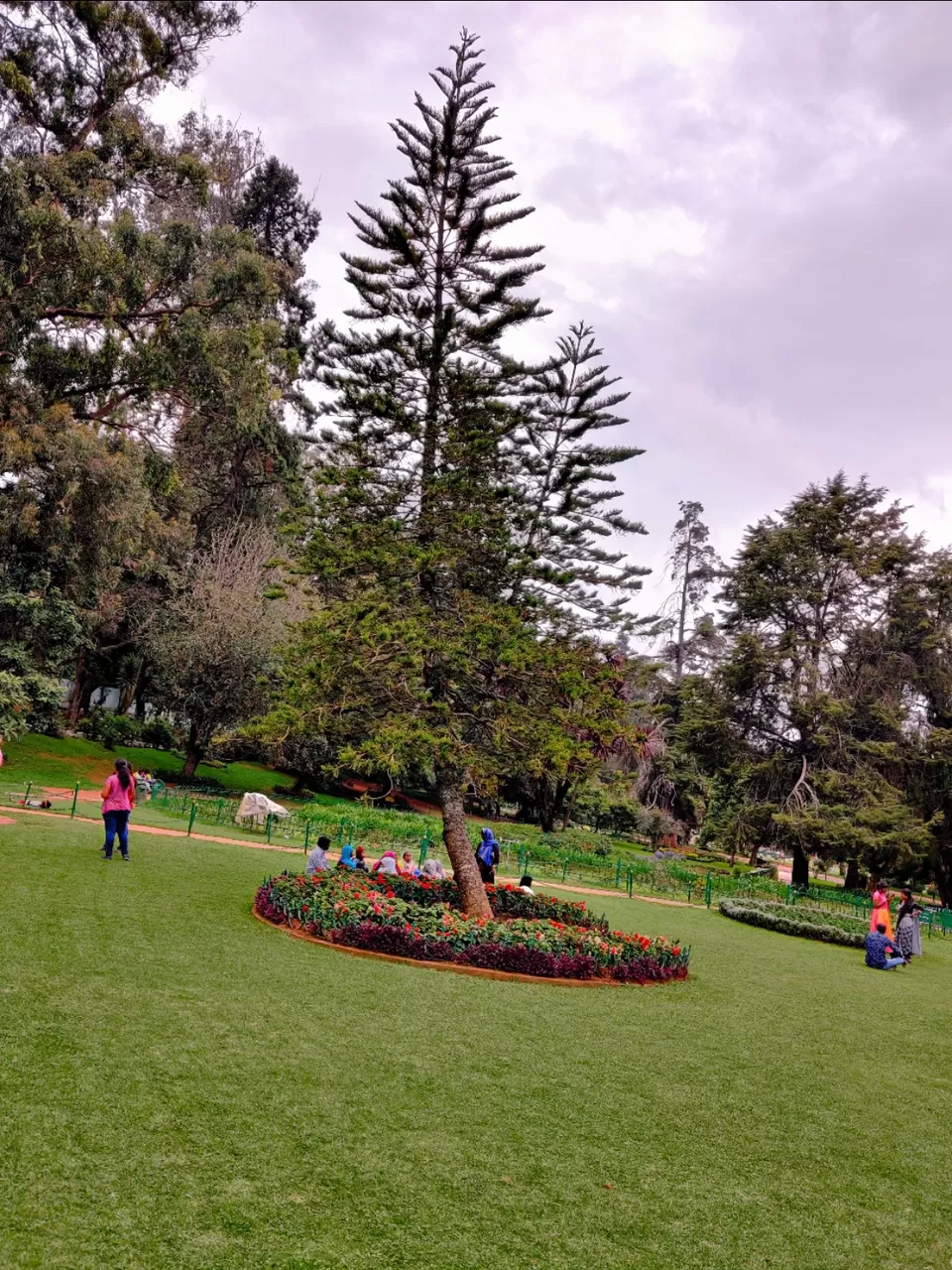 Photo of Government Botanical Garden, Vannarapettai, Ooty, Tamil Nadu, India by Aishwariya Roy