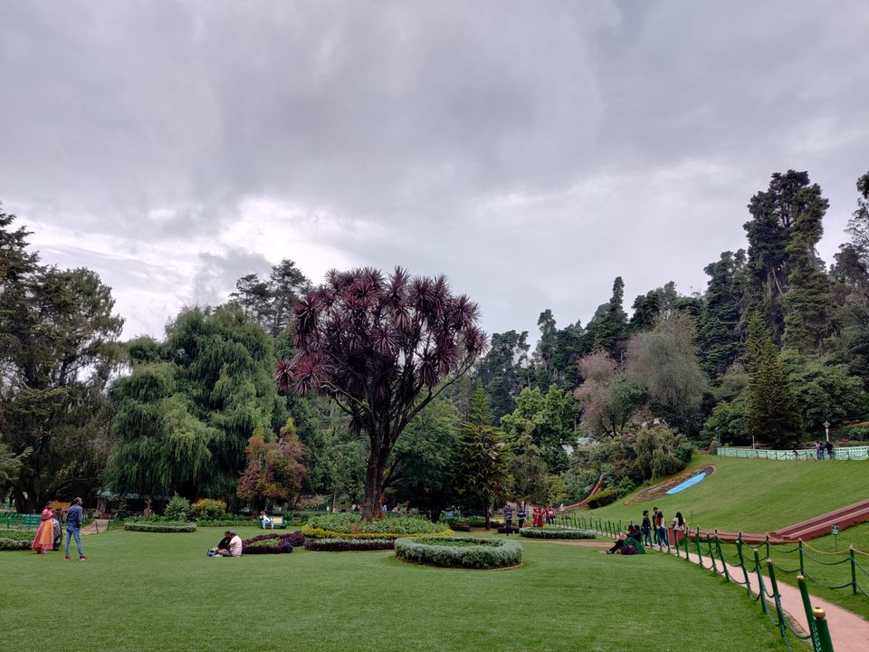 Photo of Government Botanical Garden, Vannarapettai, Ooty, Tamil Nadu, India by Aishwariya Roy