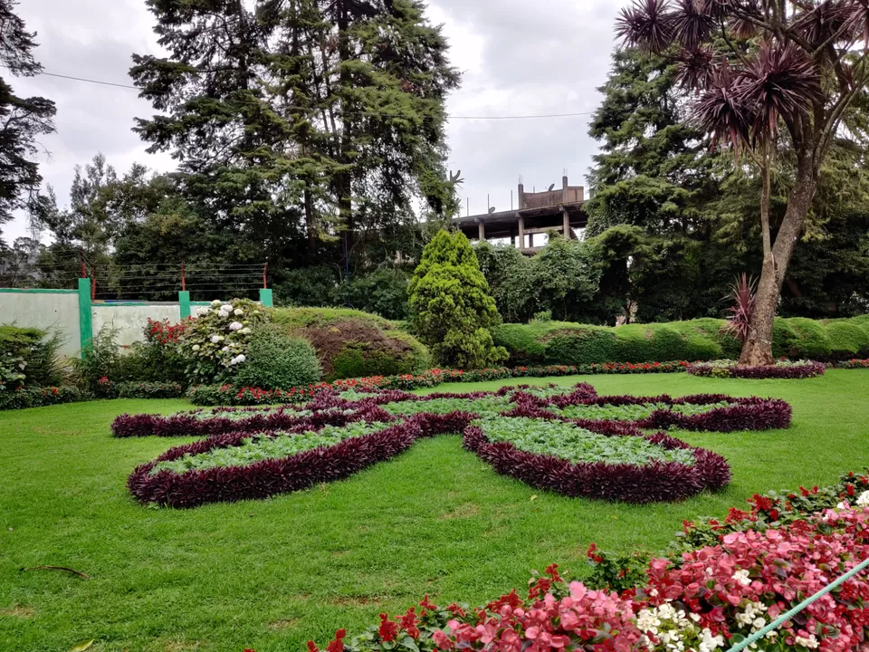 Photo of Government Botanical Garden, Vannarapettai, Ooty, Tamil Nadu, India by Aishwariya Roy