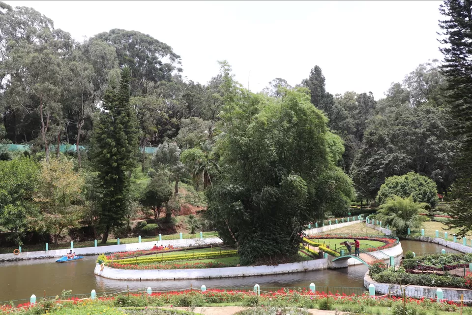 Photo of Off to the Queen of Hills-Ooty and Coonoor by Aishwariya Roy