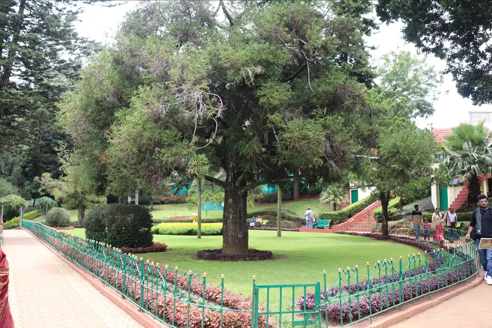 Photo of Off to the Queen of Hills-Ooty and Coonoor by Aishwariya Roy