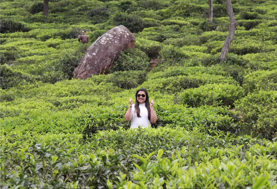 Photo of Off to the Queen of Hills-Ooty and Coonoor by Aishwariya Roy