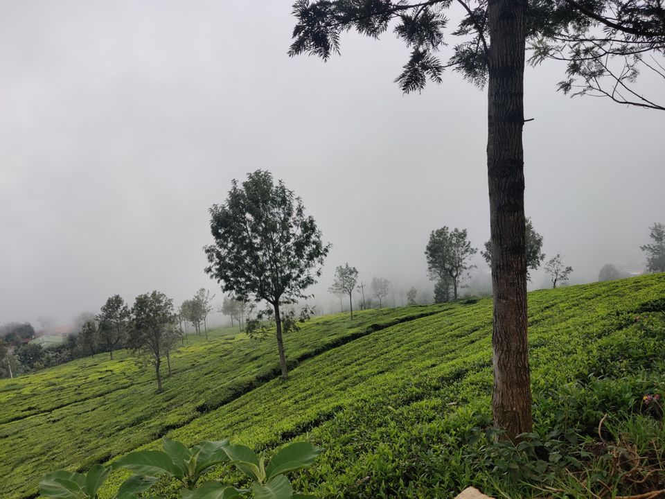Photo of Off to the Queen of Hills-Ooty and Coonoor by Aishwariya Roy