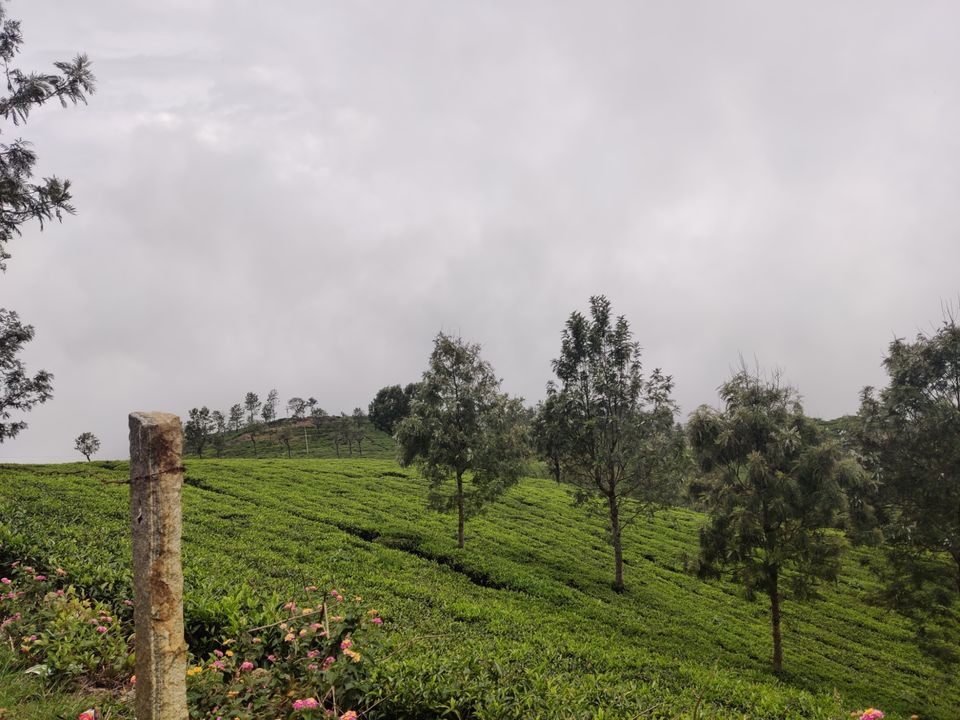 Photo of Off to the Queen of Hills-Ooty and Coonoor by Aishwariya Roy