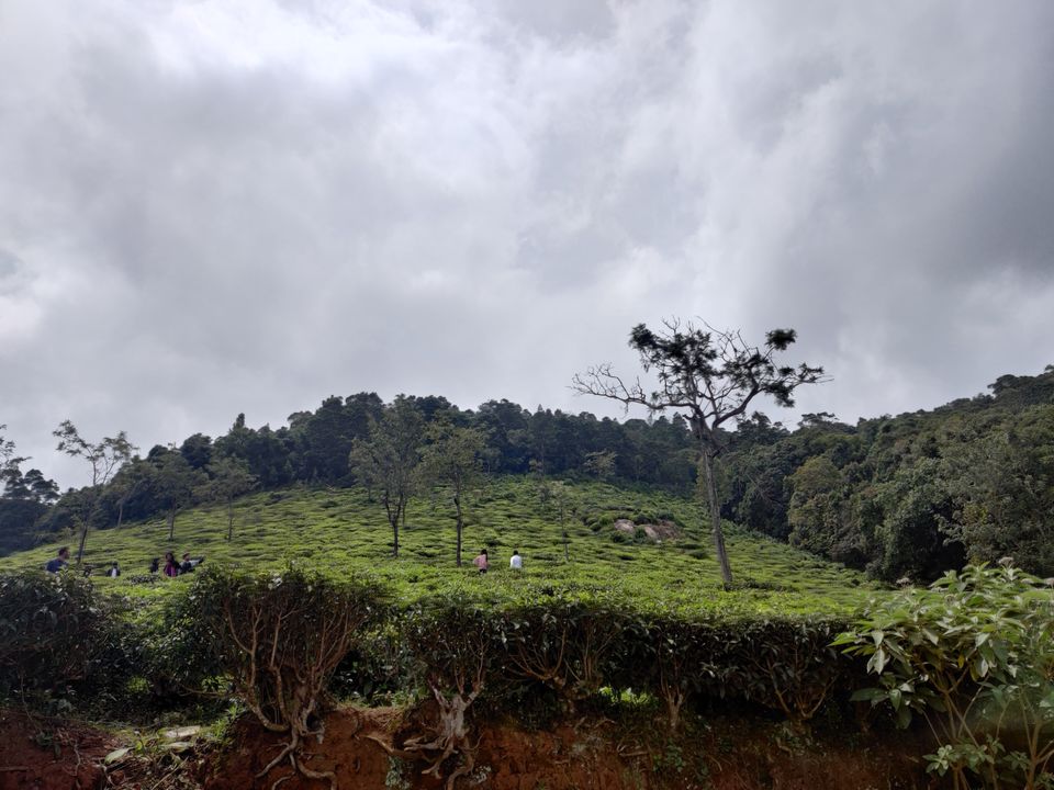 Photo of Off to the Queen of Hills-Ooty and Coonoor by Aishwariya Roy
