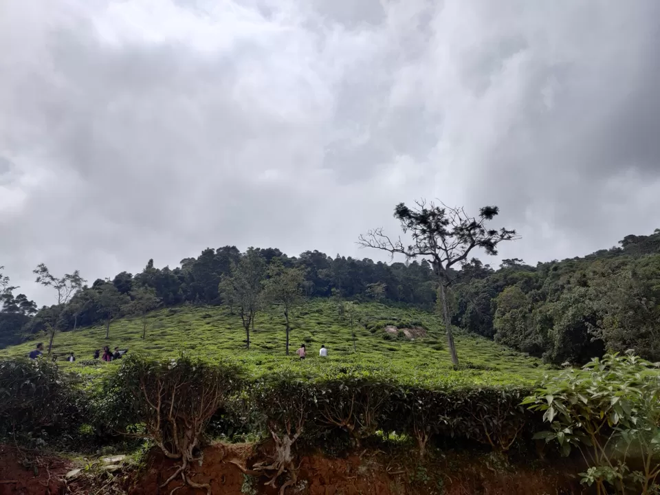 Photo of Off to the Queen of Hills-Ooty and Coonoor by Aishwariya Roy