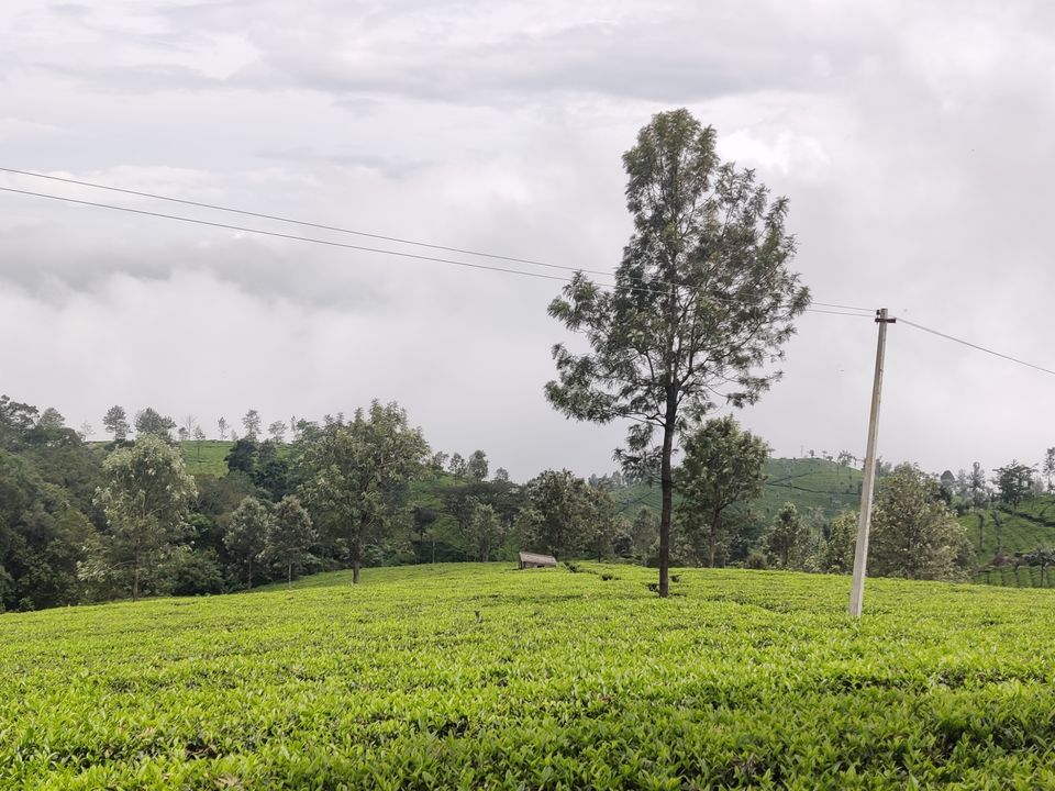 Photo of Off to the Queen of Hills-Ooty and Coonoor by Aishwariya Roy