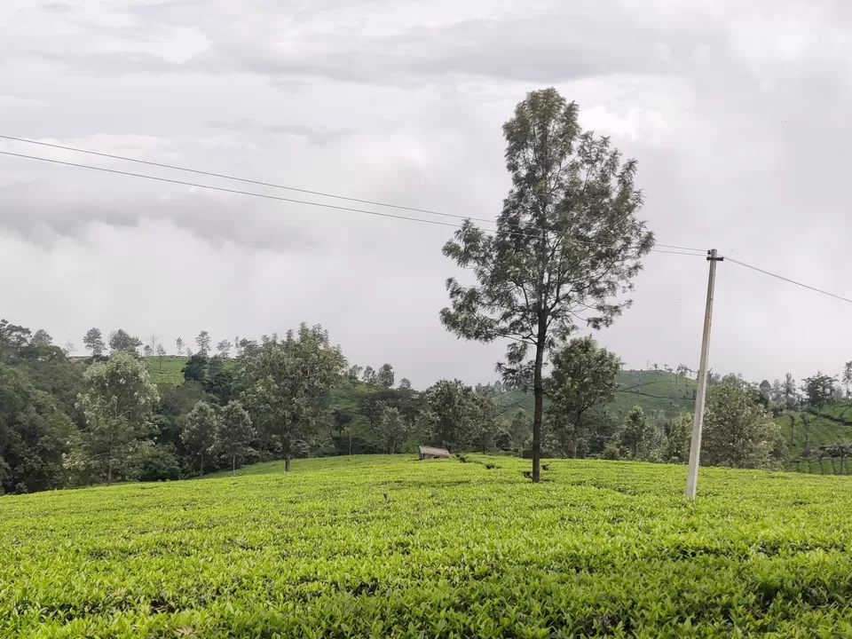 Photo of Off to the Queen of Hills-Ooty and Coonoor by Aishwariya Roy