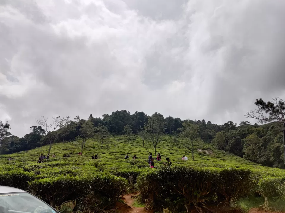 Photo of Off to the Queen of Hills-Ooty and Coonoor by Aishwariya Roy