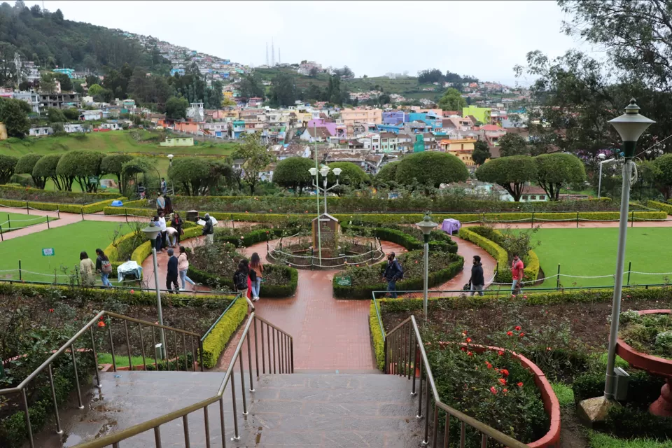 Photo of Rose Garden, Ooty, India by Aishwariya Roy