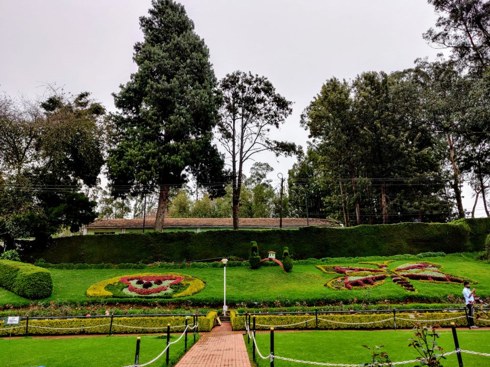 Photo of Rose Garden, Ooty, India by Aishwariya Roy