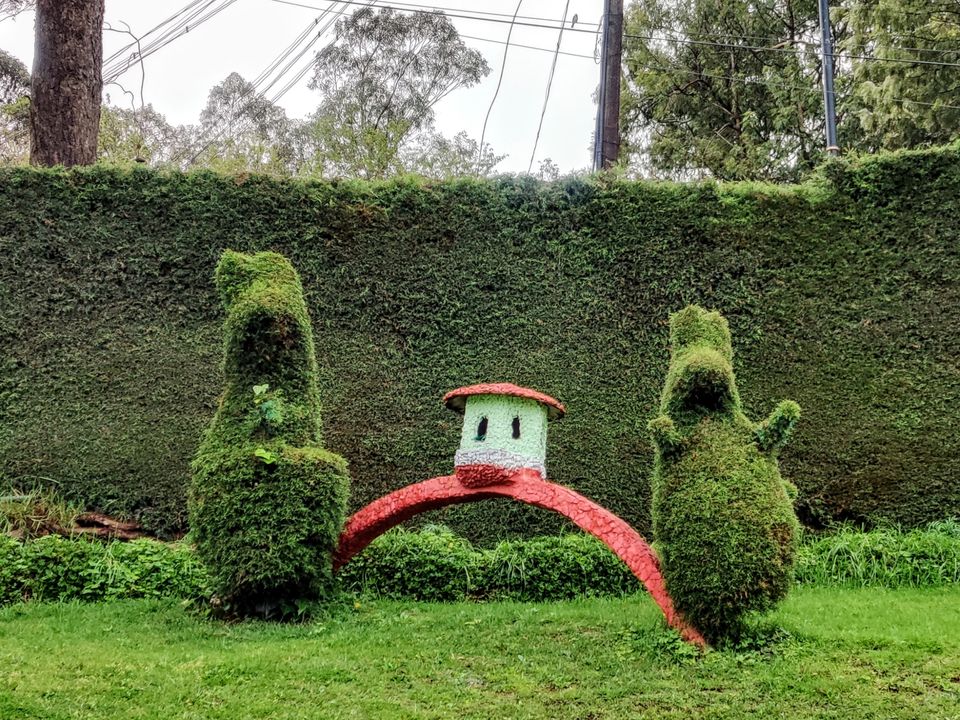Photo of Rose Garden, Ooty, India by Aishwariya Roy