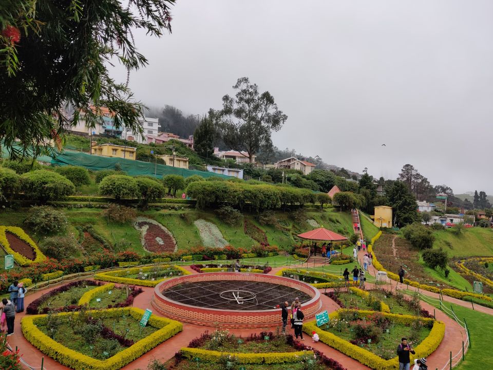 Photo of Rose Garden, Ooty, India by Aishwariya Roy