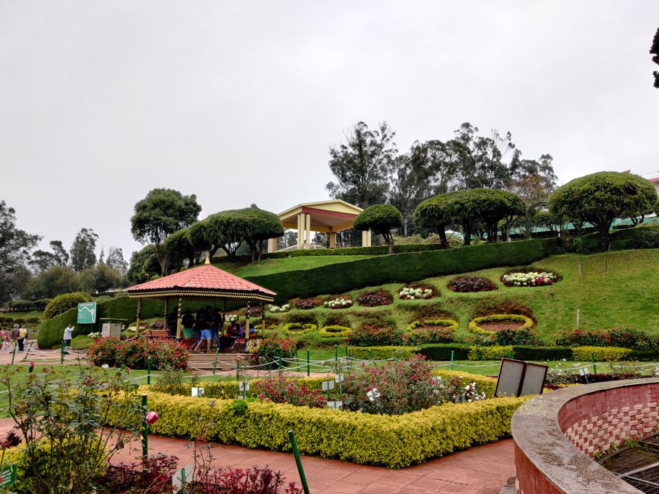 Photo of Rose Garden, Ooty, India by Aishwariya Roy