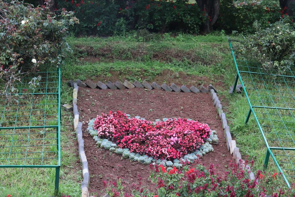Photo of Rose Garden, Ooty, India by Aishwariya Roy
