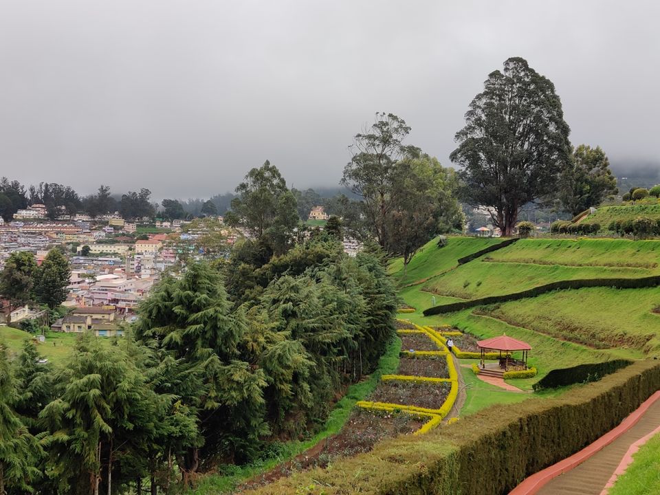 Photo of Rose Garden, Ooty, India by Aishwariya Roy