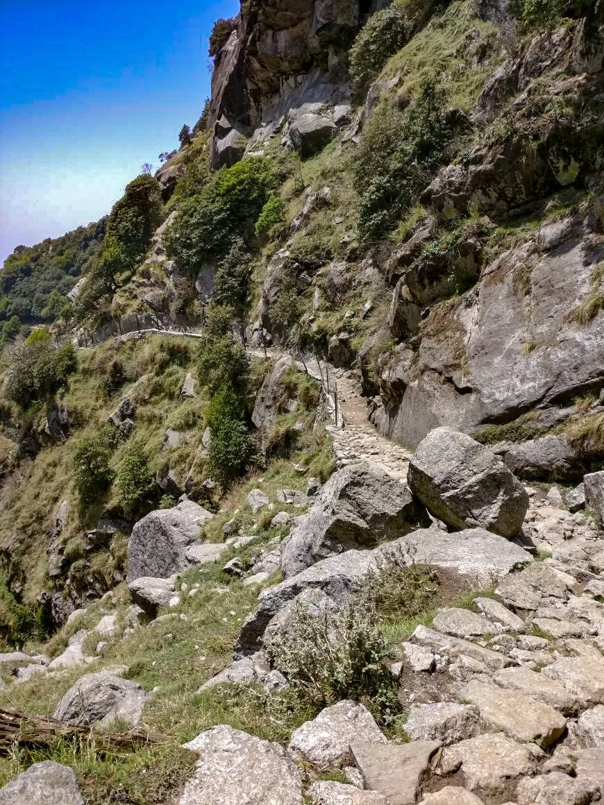 Photo of Triund, Himachal Pradesh by Aishwarya Kandpal