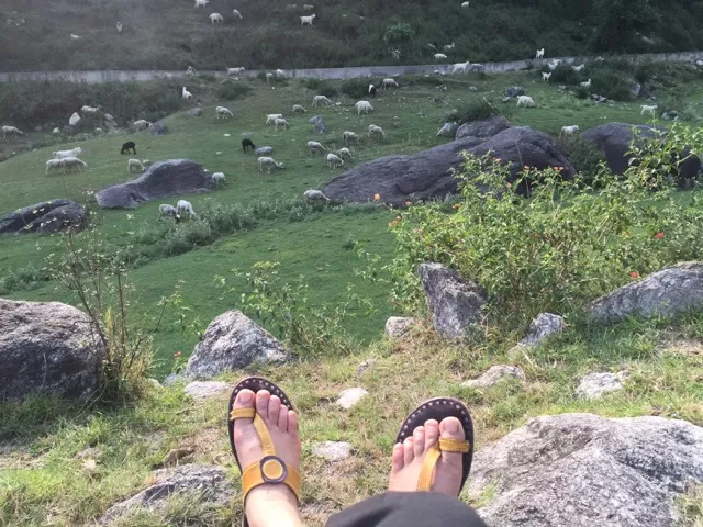 Photo of Palampur, Himachal Pradesh, India by Aishwarya Kandpal