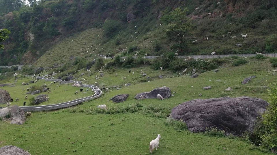 Photo of Palampur, Himachal Pradesh, India by Aishwarya Kandpal