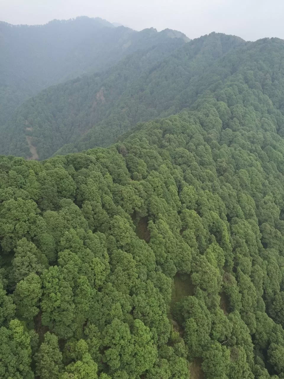 Photo of Palampur- Linger Earth House- Bir Billing-Palampur by Aishwarya Kandpal