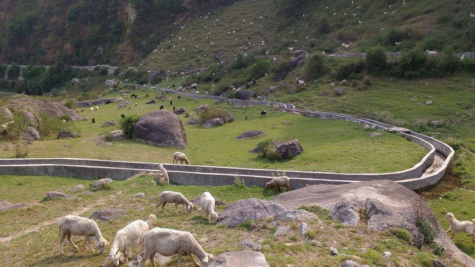 Photo of Palampur- Linger Earth House- Bir Billing-Palampur by Aishwarya Kandpal