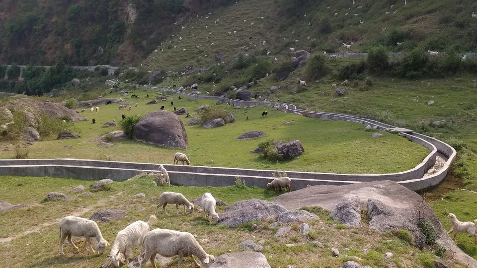 Photo of Palampur- Linger Earth House- Bir Billing-Palampur by Aishwarya Kandpal