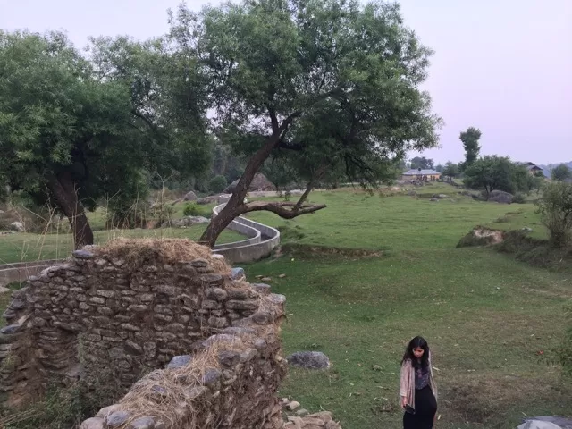 Photo of Palampur, Himachal Pradesh, India by Aishwarya Kandpal