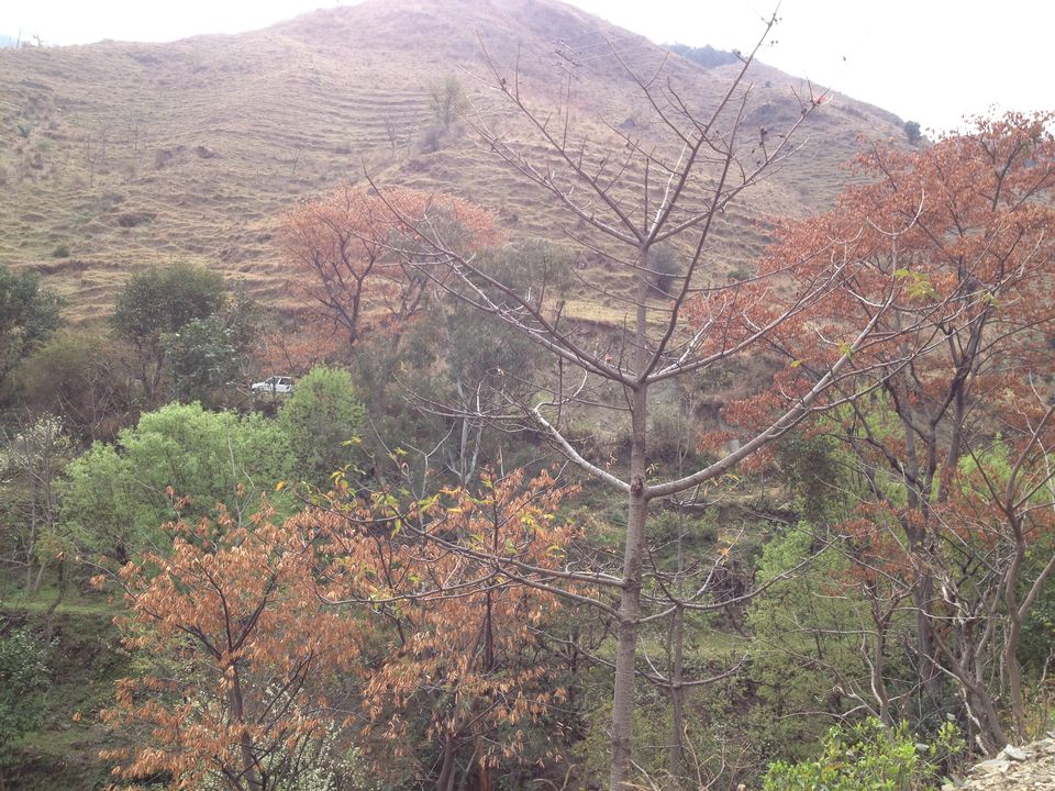 Photo of Adventure of a life time (AHFOD) - Parashar Lake 1/12 by Tushar