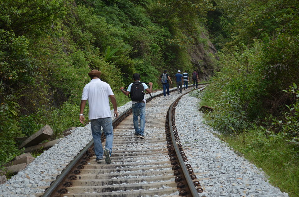 Photo of Sakleshpur - the green route railway trek, waterfalls and much more. 7/20 by Ranjyoti Prakash