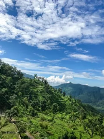Photo of The Pahadi - Organic Restaurant & Motel | The Simple Life by Neeru Singh