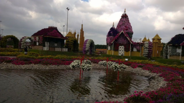 Photo of Dubai Diaries – A trip to the Miracle Garden 5/28 by Aseem Rastogi