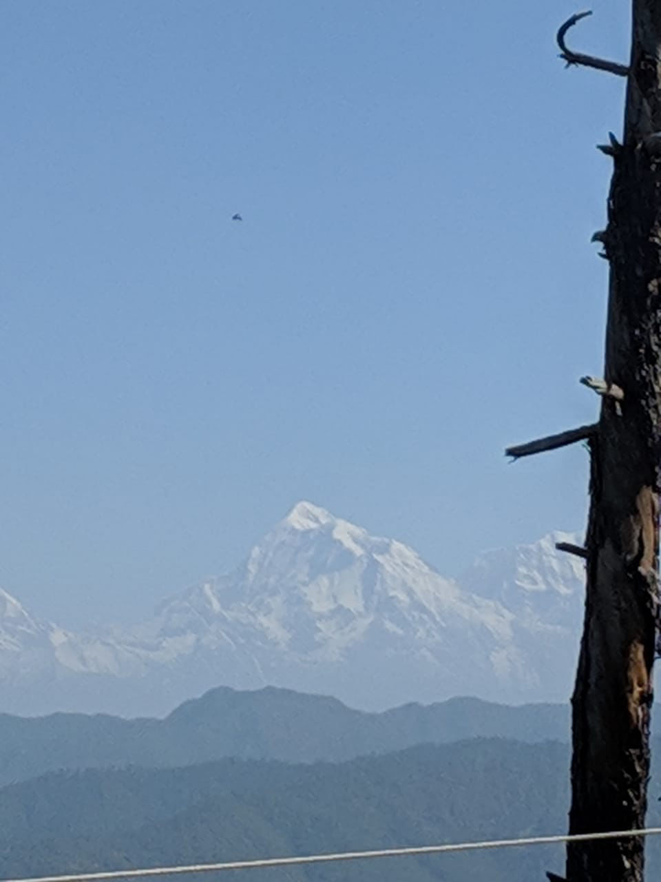 Photo of Mesmerising Majkhali ♥️ by Atreyee Lahiri