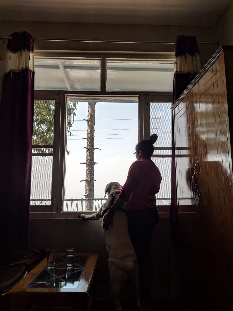Photo of Kaafal Cottage, Ranikhet, Uttarakhand, India by Atreyee Lahiri