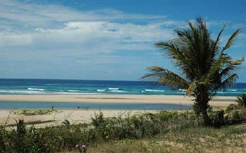 Photo of Inhambane - An Oasis of Coconuts 1/6 by Kevin Macaringue