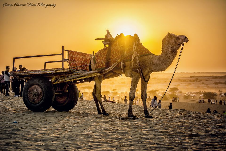 Photo of Sam Sand Dunes Jaisalmer, Sam, Rajasthan, India by Samir Samuel David