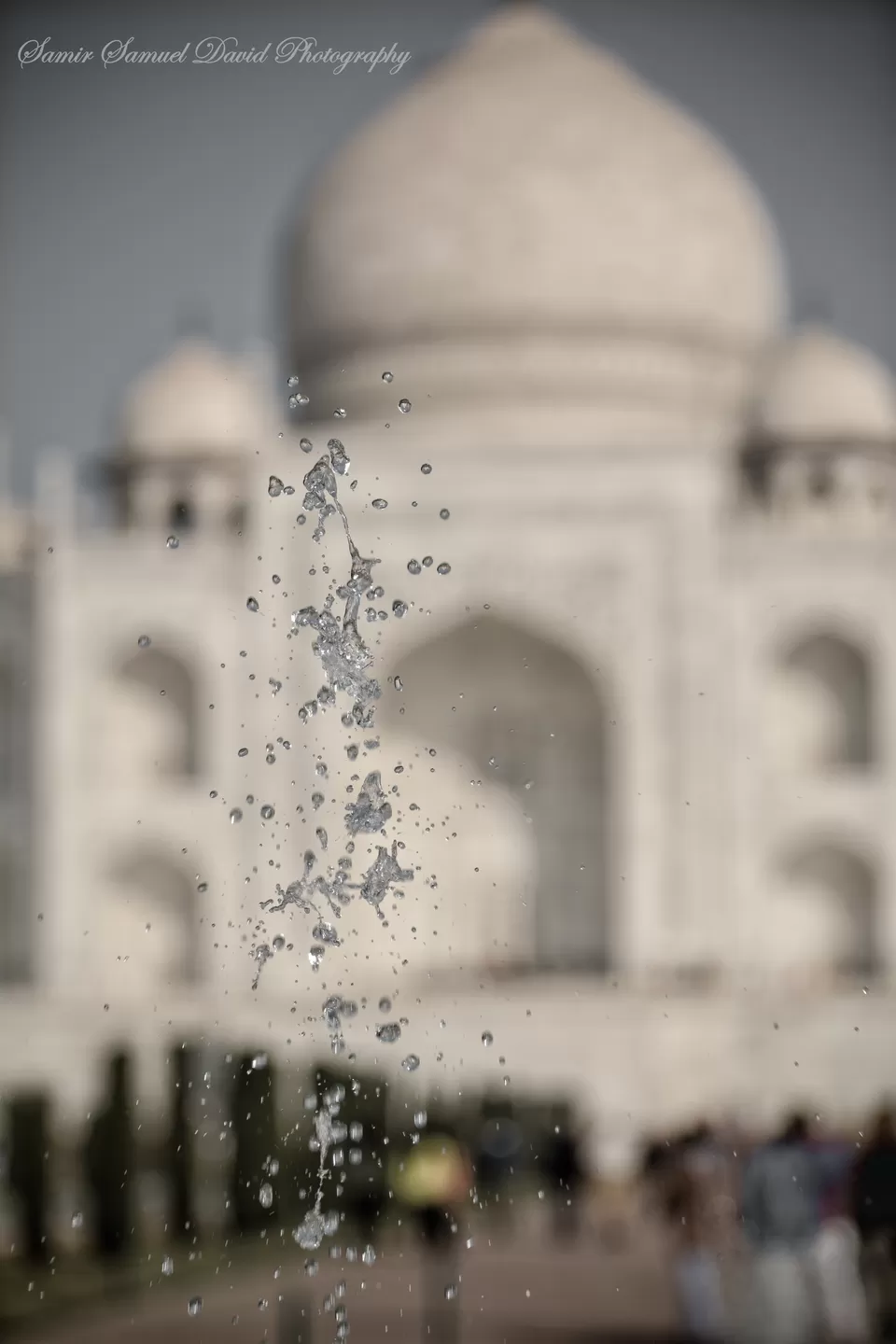 Photo of Taj Mahal, Dharmapuri, Forest Colony, Tajganj, Agra, Uttar Pradesh, India by Samir Samuel David